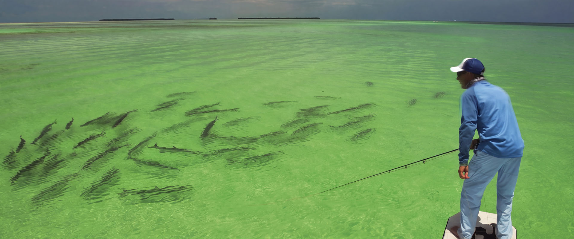 Fliegenfischer vor einem Tarpon-Schwarm auf den Flats