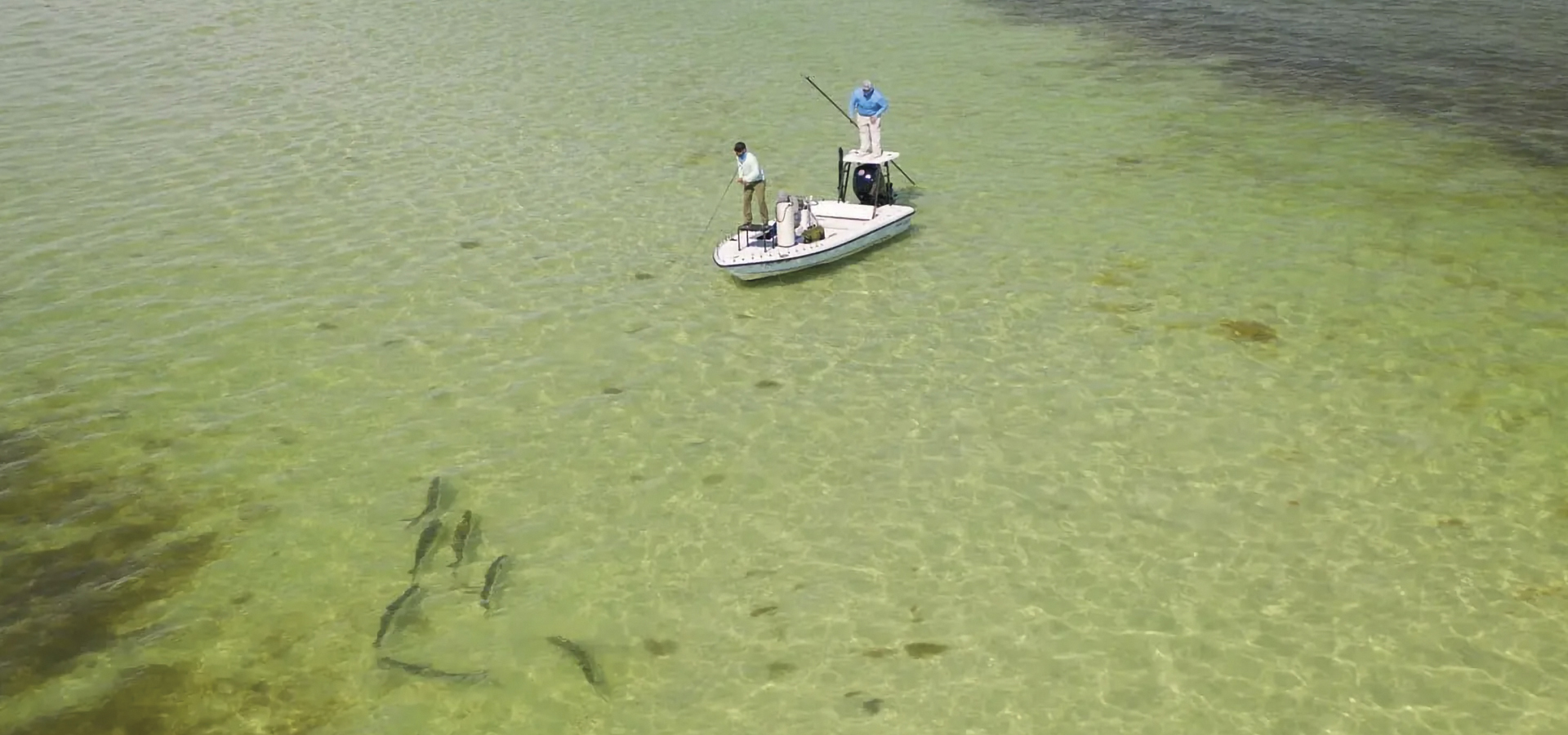 Fliegenfischer auf der Suche nach Tarpon auf den Flats
