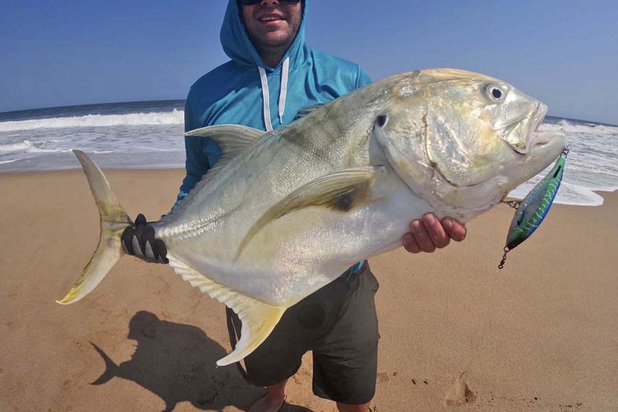 Crevalle Jack – Fang mit konventionellem Angelgerät an der Küste von Angola