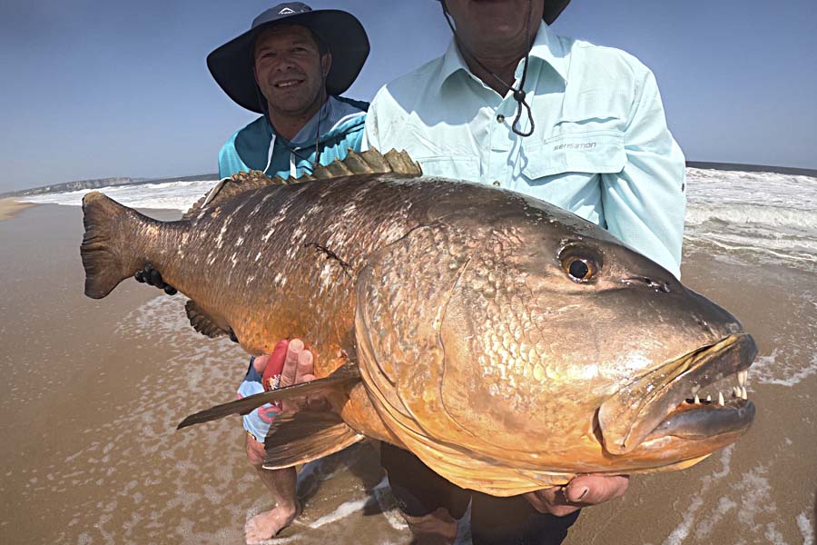 Cubera Snapper – Fang mit konventionellem Angelgerät an der Küste von Angola