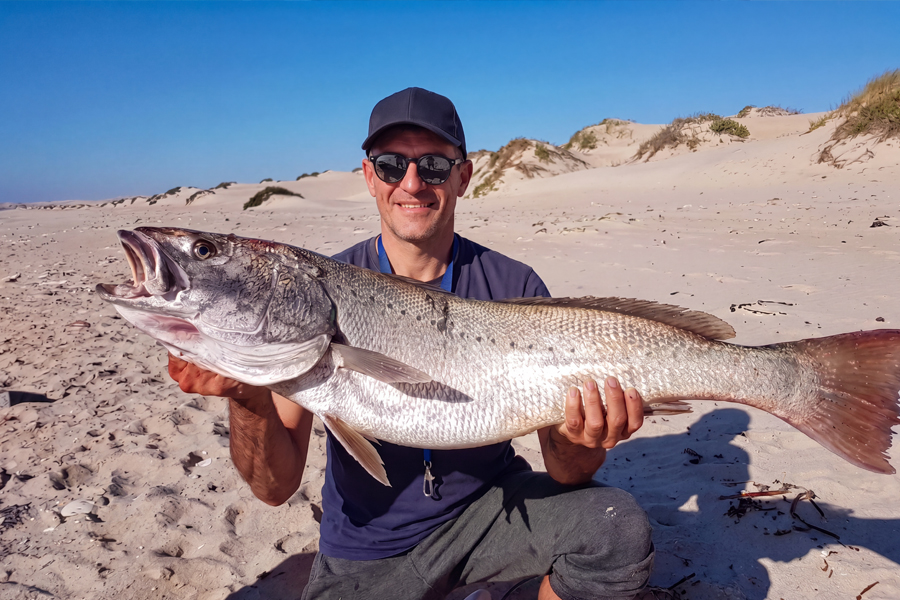 Corvina – Fang mit konventionellem Angelgerät an der Küste der Sahara