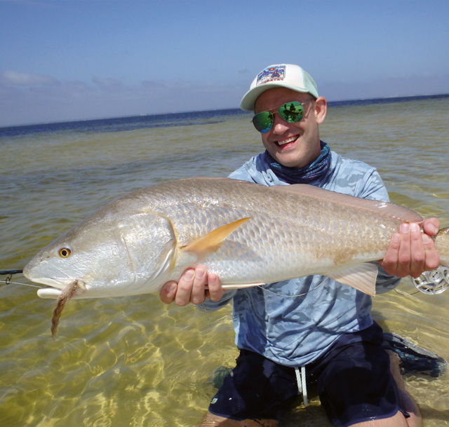 Redfish mit Fliege im flachen Wasser